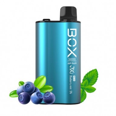 Air Box 5K Blueberry Mint Disposable Vape Pen